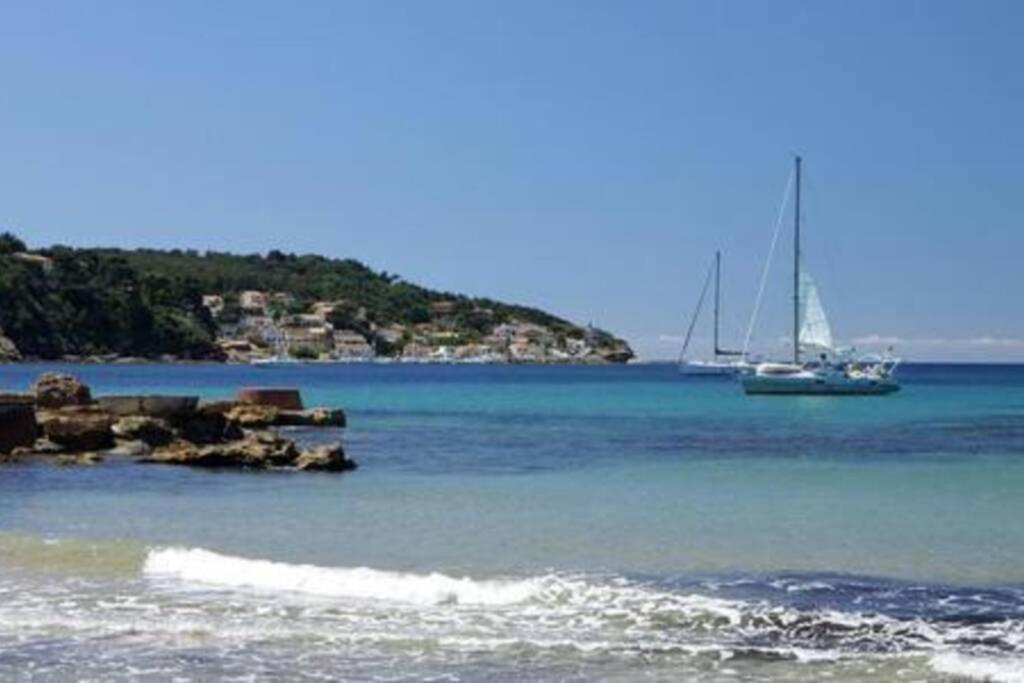 Appartement T2 Rez De Villa Proche Bord De Mer Le Pradet Εξωτερικό φωτογραφία